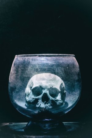 Foto de Calavera humana en ampolla de vidrio y fondo negro - Imagen libre de derechos