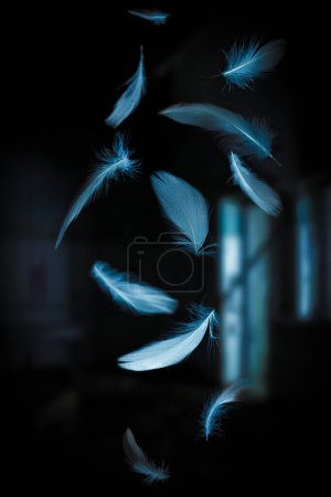 Foto de Plumas caen en un interior poco iluminado - Imagen libre de derechos