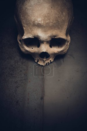 Téléchargez les photos : Crâne humain sur fond métallique - en image libre de droit