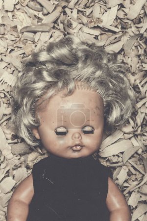 Photo for Old doll with eyes closed on wood chips - Royalty Free Image