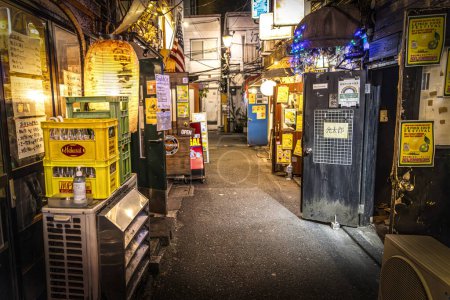 Téléchargez les photos : TOKYO / JAPON - 19 novembre 2023 : vie nocturne dans kabukicho alley, shinjuku . - en image libre de droit