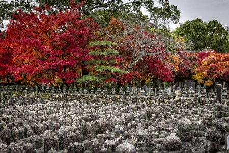 Téléchargez les photos : Détail du temple Adashino Nenbutsuji à Kyoto - en image libre de droit