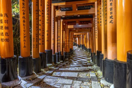 Photo for Path under the torii  in the fushimi inari temple in Kyoto - Royalty Free Image