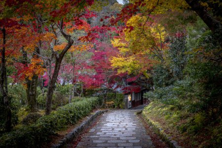 Téléchargez les photos : Entrée du temple Adashino Nenbutsuji en automne - en image libre de droit
