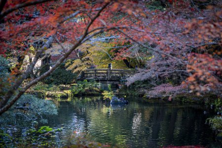 Téléchargez les photos : Détail du parc Naritasan à Narita, Japon - en image libre de droit