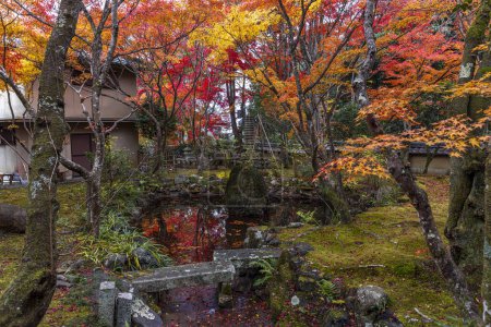 Téléchargez les photos : Jardin japonais en automne dans la ville de Kyoto - en image libre de droit