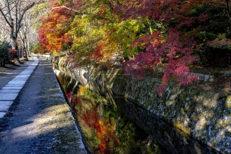 Téléchargez les photos : Philosopher's Walk durant l'automne à Kyoto. Japon - en image libre de droit