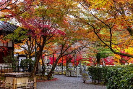 Téléchargez les photos : Jardin du Temple Adashino Nenbutsuji à Kyoto - en image libre de droit