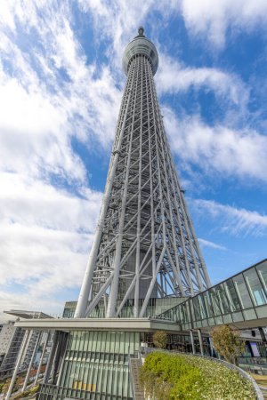 Upward view of the towering tokyo skytree, a landmark against a dramatic sky