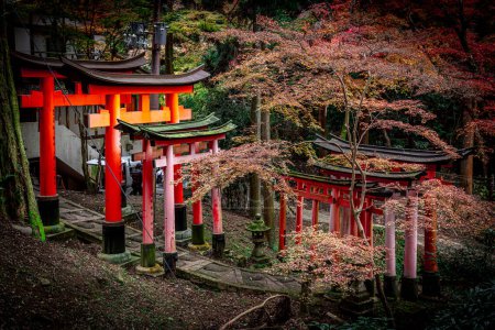 Photo for Torii gates line a tranquil path at fushimi inari shrine, kyoto - Royalty Free Image