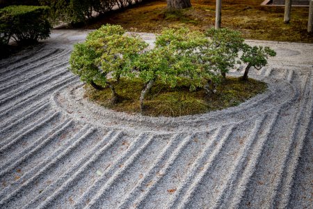 Téléchargez les photos : Détail du jardin du temple Ginkaku ji - en image libre de droit