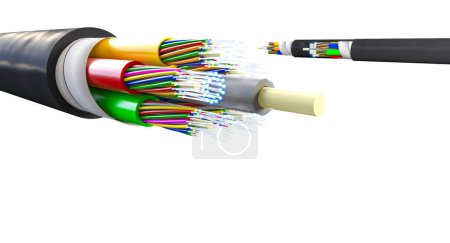 cable de fibra óptica de sección transversal núcleos visibles aislados fondo blanco