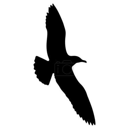 Téléchargez les illustrations : Illustration vectorielle silhouette réaliste oiseau volant - en licence libre de droit