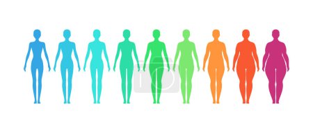 Illustration for Body shapes from underweight to extremely obese. Vector illustration. - Royalty Free Image