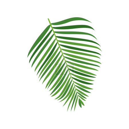 Illustration for Palm tree branch vector illustration - Royalty Free Image