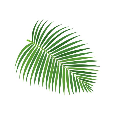 Téléchargez les illustrations : Illustration vectorielle de branche de palmier - en licence libre de droit
