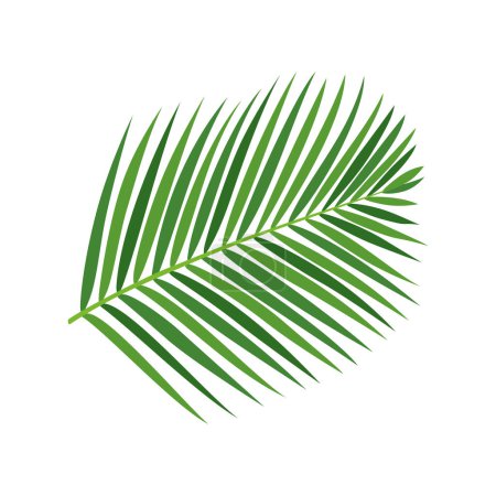 Illustration for Palm tree branch vector illustration - Royalty Free Image
