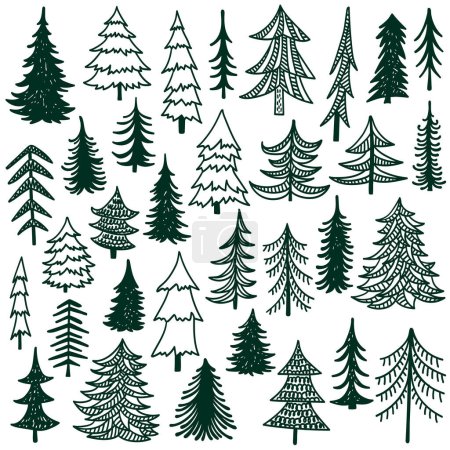 Illustration for Fir trees hand drawn vector illustration - Royalty Free Image