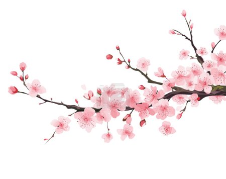 Illustration for Branch with flowers. Japanese tree. Sakura. Vector illustration isolated on white background - Royalty Free Image