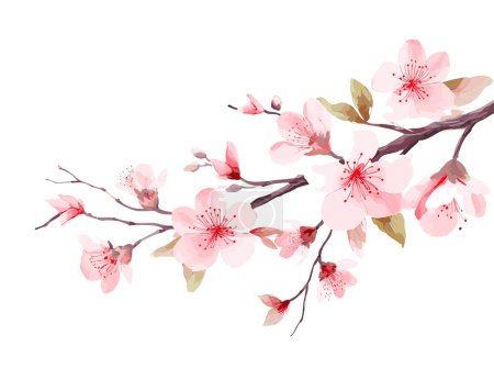Téléchargez les illustrations : Branche avec des fleurs. Un arbre japonais. Sakura. Illustration vectorielle isolée sur fond blanc - en licence libre de droit
