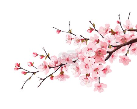 Rama con flores. Árbol japonés. Sakura. Ilustración vectorial aislada sobre fondo blanco