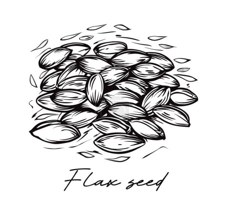 Graine de lin dessinée à la main illustration vectorielle en noir et blanc