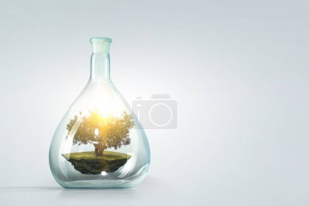 Photo for Tree growing inside glass bottle. Mixed media - Royalty Free Image