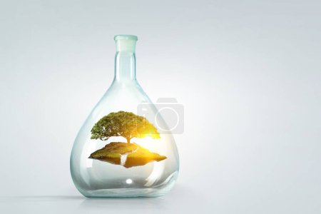 Foto de Árbol creciendo dentro de una botella de vidrio. Medios mixtos - Imagen libre de derechos