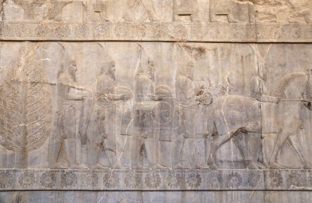 Téléchargez les photos : Ancien mur avec bas-relief avec des ambassadeurs étrangers assyriens avec des cadeaux et des dons, Persépolis, Iran. Patrimoine mondial de l'UNESCO - en image libre de droit