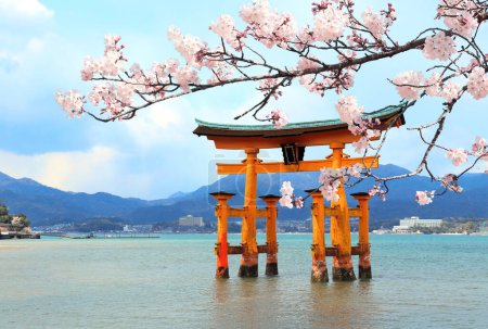 Photo for Branch of the blooming sakura with pink flowers and Torii gate, Itsukushima Shrine, Miyajima island, Hiroshima prefecture, Japan. UNESCO world heritage site. Spring sakura blossoming season in Japan - Royalty Free Image