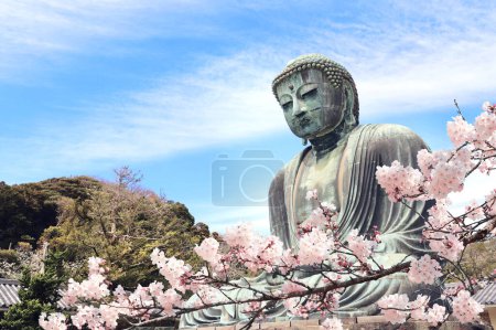Photo for Ancient bronze statue of the Great Buddha Daibutsu and flowers of sakura, Kotoku-in temple, Japan, Asia. Traditional japanese hanami festival. Cherry blossoming season in Japan - Royalty Free Image