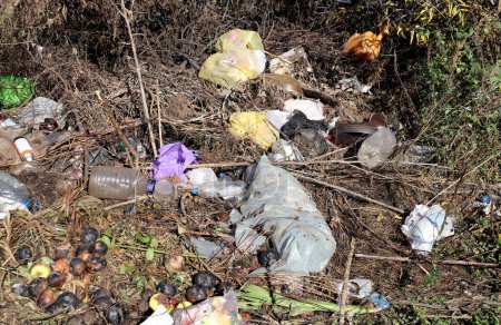 Foto de Land pollution with plastic bags and bottles. Plastic garbage in forest. Ecological problem and environmental pollution - Imagen libre de derechos