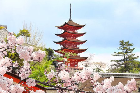 Photo for Goju-no-to pagoda (Gojunoto pagoda, Five storied pagoda) and blooming sakura branch, Itsukushima Shrine, sacred Miyajima Island, Japan. Sakura blossoming season in Japan - Royalty Free Image