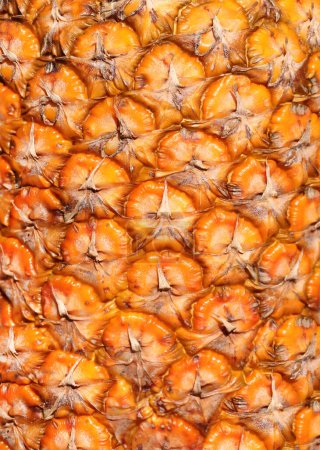 Téléchargez les photos : Gros plan sur la texture de la peau d'ananas. Peau d'ananas mûr (Ananas comosus) de couleur orange - en image libre de droit