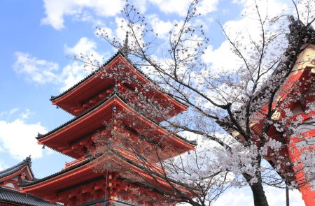 Téléchargez les photos : Ancient pavilion and blooming sakura branches in Fushimi Inari shrine. Spring time in Kyoto, Japan. Sakura blossom season. Cherry blossoming season in Asia. Japanese hanami festival - en image libre de droit