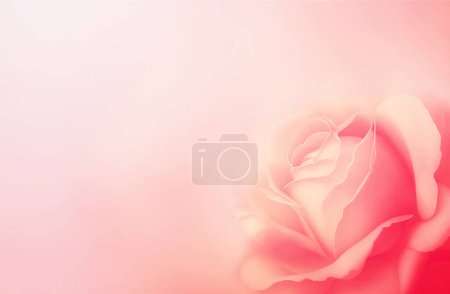 Foto de Horizontal banner with rose of pink color on blurred background. Copy space for text. Mock up template. Can be used for wallpaper, wedding card, web page backdrop - Imagen libre de derechos