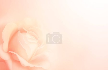 Photo for Horizontal banner with rose of pink color on blurred background. Copy space for text. Mock up template. Can be used for wallpaper, wedding card, web page backdrop - Royalty Free Image