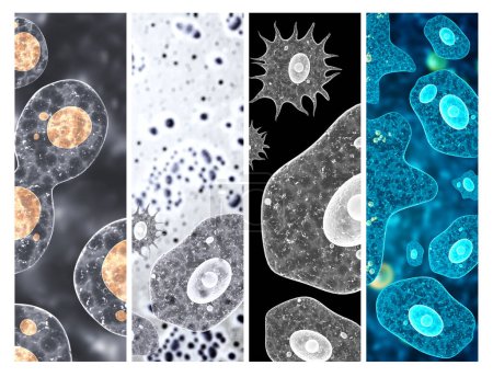Photo for Set of horizontal or vertical banner with pathogenic bacterias and viruses. Amoeba under microscope. Fast multiplication of bacteria. Infection and microbe. Copy space for text. 3d render - Royalty Free Image