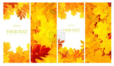 Foto de Conjunto de pancartas de naturaleza vertical con escenas de otoño. Colección de fondos de otoño con hojas de otoño amarillas y rojas. Copiar espacio para texto - Imagen libre de derechos