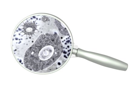 Photo for Magnifying glass and pathogenic bacterias and viruses. Fast multiplication of bacteria. Infection and microbe. Amoeba under microscope. Isolated on white background. 3d render - Royalty Free Image