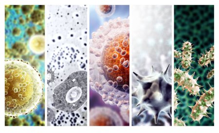 Photo for Set of horizontal or vertical banner with pathogenic bacterias and viruses. Amoeba under microscope. Fast multiplication of bacteria. Infection and microbe. Copy space for text. 3d render - Royalty Free Image