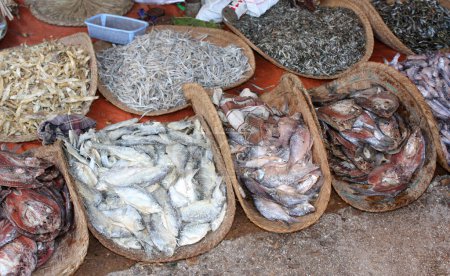 Téléchargez les photos : Poisson séché dans un panier en osier à vendre, marché aux poissons du matin, Myanmar (Birmanie). Poisson salé séché vendu au marché traditionnel du poisson de rue, Asie - en image libre de droit