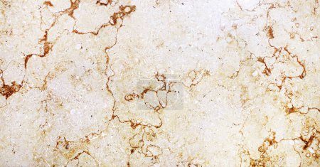 Photo for Horizontal or vertical background with natural limestone texture of beige color. Limestone texture backdrop. Polished Egyptian marble slab - Royalty Free Image