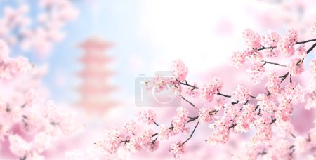 Photo for Horizontal banner with sakura flowers of pink color and ancient pagoda on sunny backdrop. Beautiful nature spring background with a branch of blooming sakura. Sakura blossoming season in Japan - Royalty Free Image