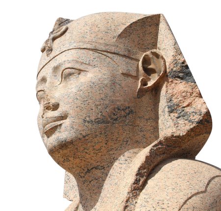 Téléchargez les photos : Face of Sphinx in Famous landmark Serapeum of Alexandria, Alexandria, Egypt, North Africa. Sphinx dans le temple romain Serapeum. Isolé sur fond blanc - en image libre de droit