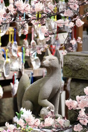 Photo for Ancient stone statue of fox and pink sakura flowers, Kakigara inari, Hasedera temple, Kamakura. Spring time in Japan. Sakura blossom season. Japanese hanami festival. Cherry blooming season in Asia - Royalty Free Image