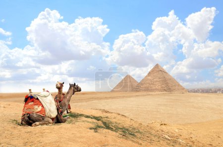 Téléchargez les photos : Des chameaux dans des vêtements de cheval colorés reposant sur le sable près des pyramides, Gizeh, Le Caire, Egypte. Grandes pyramides célèbres de Chephren et Cheops, complexe pyramidal de Gizeh (nécropole de Gizeh)) - en image libre de droit