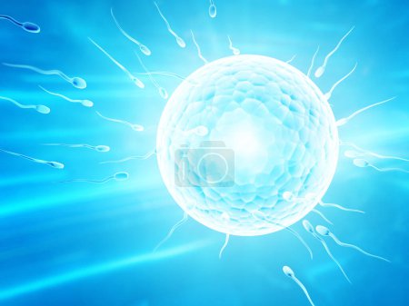 Photo for Spermatozoons, floating to ovule. The moment of fertilization of an egg with a sperm. On abstract light blue background. 3d render - Royalty Free Image