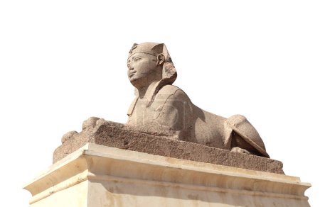 Téléchargez les photos : Sphinx dans le célèbre Serapeum d'Alexandrie, Alexandrie, Egypte, Afrique du Nord. Sphinx dans le temple romain Serapeum. Isolé sur fond blanc - en image libre de droit
