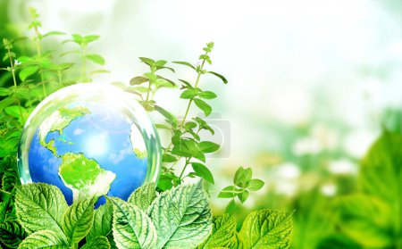 Photo for Earth in glass ball on green leaves. Ecology, go green and zero waste concept. Environmental and conservation protection background. Sunny summer backdrop with globe and plants. 3d render - Royalty Free Image